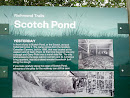 Richmond Trails Scotch Pond
