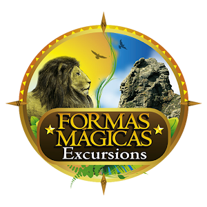 Formas Magicas Excursions 3D.apk 0.4