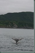IMG_2159