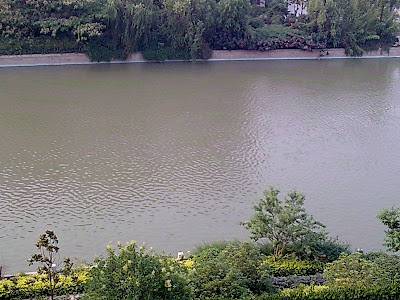 运河
