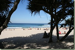 IMG_1785 (Large)