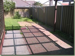 IMG_0371 (Medium)