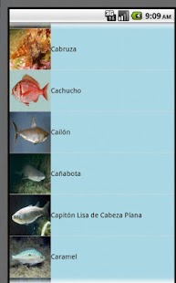 How to get PescaMed patch 1.0 apk for laptop