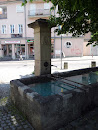 Old  Brunnen