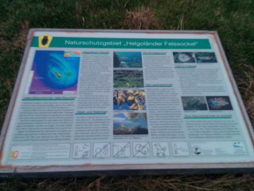 Naturschutzgebiet Helgoländer Felssockel