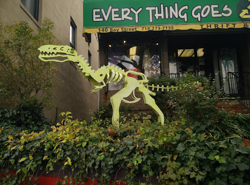 Everything Goes Dinosaur 