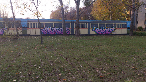 Tram Graffiti