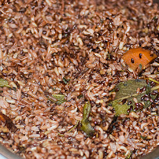 Brazilian Wild Rice Blend