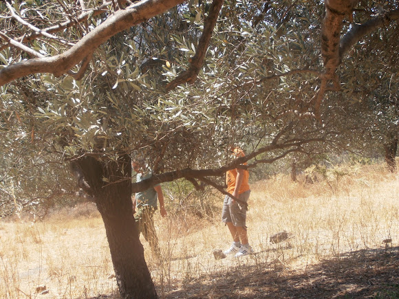Spotting Image 1