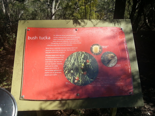 Bush Tucka
