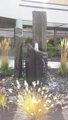 Memorial Physician Fountain 