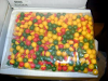 Caja Con 2000 Pelotas Draxxus Paintball