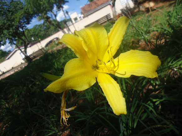 Spotting Image 1