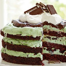 Mint Chocolate Chip Ice-Cream Cake