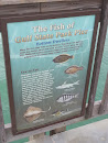 The Fish of Gulf State Park Pier - Bottom Dwellers