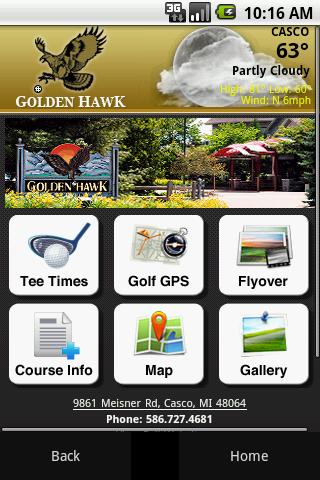 Golden Hawk