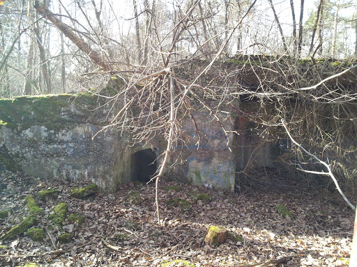 Bunker Du Kastenwald