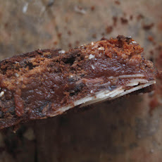 Chia-Thinmint-Fudgy Brownies