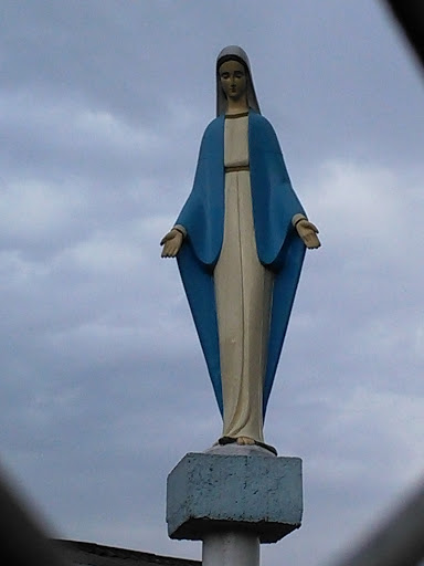 Virgen De La Panamericana