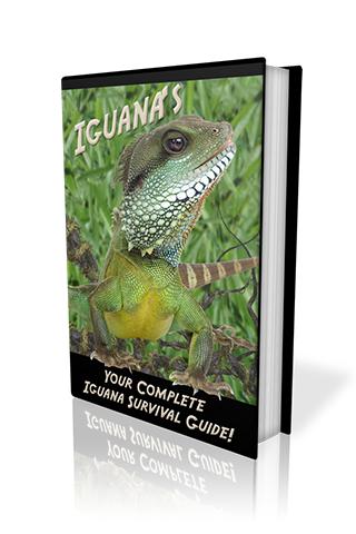 Complete Iguana Survival Guide