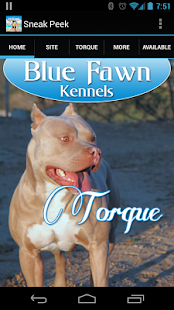 How to mod Blue Fawn Kennels 1.15.0127 unlimited apk for bluestacks