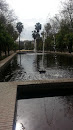 Fuente del parque