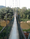 Suspension Bridge Kandy