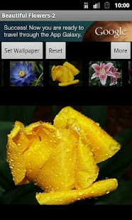 How to download Beautiful Flowers-2 1.0.1 apk for pc