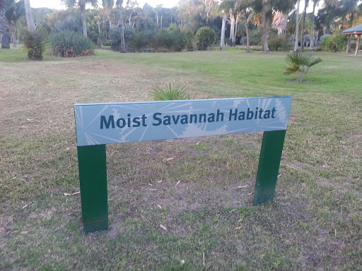Moist Savannah Habitat