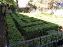 Neild Avenue Hedge Maze