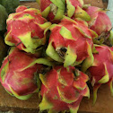 Pitaya