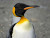 User profile picture thumbnail