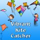 Vibrant Kite Catcher