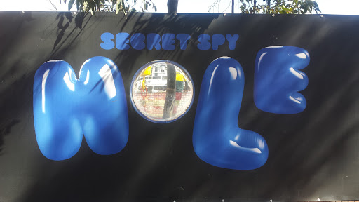 Secret Spy Hole