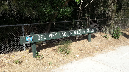 Dee Why Lagoon Wildlife Refuge 