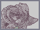 Thumbnail of the map 'Rose'