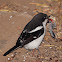 Common Fiscal