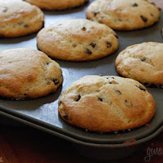 Ricotta Cheese Chocolate Chip Muffins