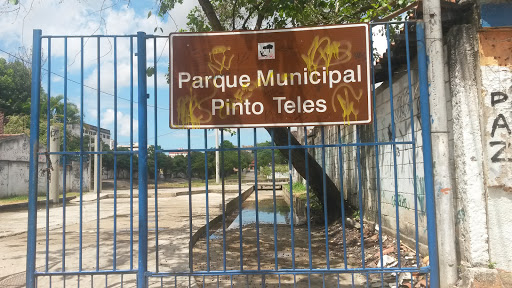 Parque Municipal Da Pinto Teles