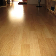 Laminate Floor Cleaner