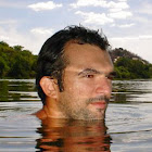 Alano