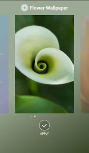 How to install Flower Wallpaper 1.0.0 apk for android