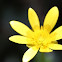 Unknown spotting