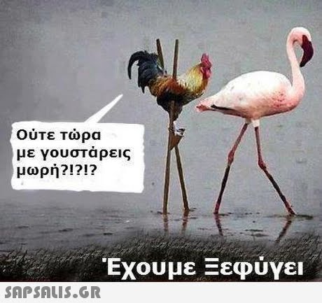 Ούτε Τώρα με γουσταρεις μωρή?!?!? Έχουμε Ξεφύγει 