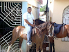 Yegua En Venta 40000 Mil Pesos