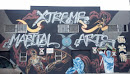 Xtreme Martial Arts Mural