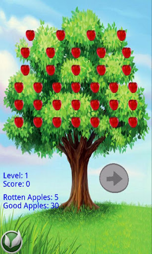 Apple Tree