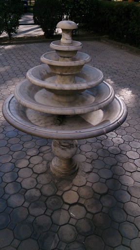 Fountain Near Eiffell Jr