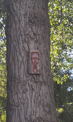 Лицо На Дереве