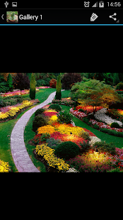 How to get Garden Decorating Ideas patch 2.2 apk for laptop